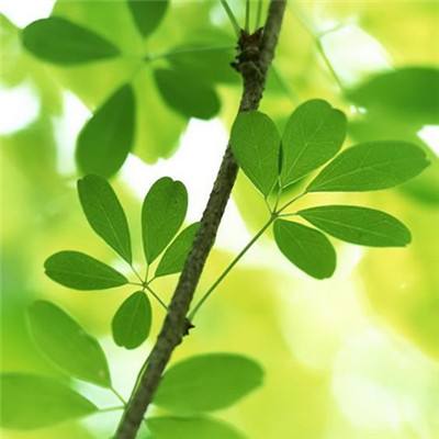 亚搏官网 官网登录下载