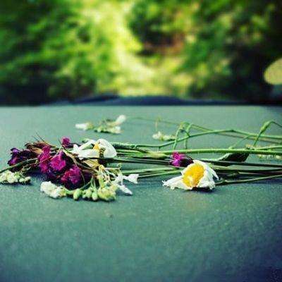 快三彩票app平台官方下载