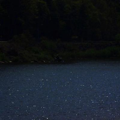 BOB·体育手机APP