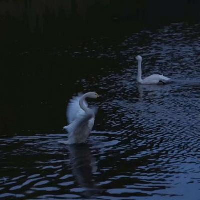 B体育app客户端下载