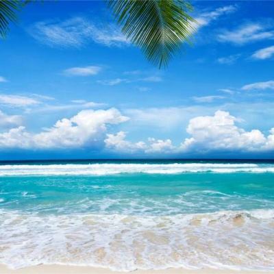 星空线上官网手机app下载