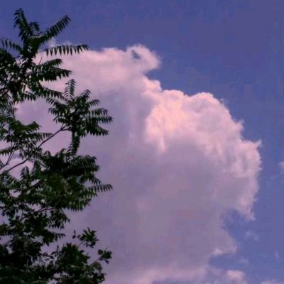 bat·365(中国)在线登录入口