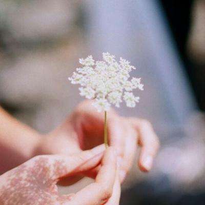 金年会·体育APP