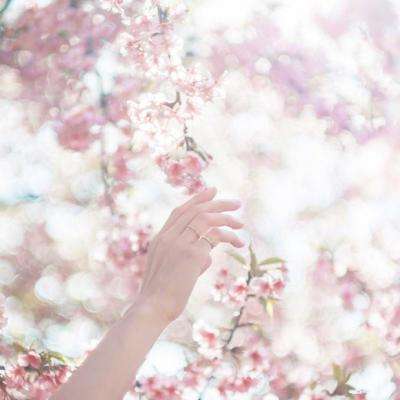 英雄联盟外围平台网址下载手机版