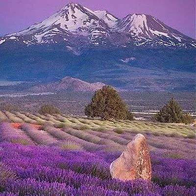 芒果体育手机app下载截图